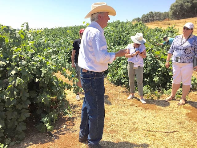 Amador County vineyard tours at Bella Grace